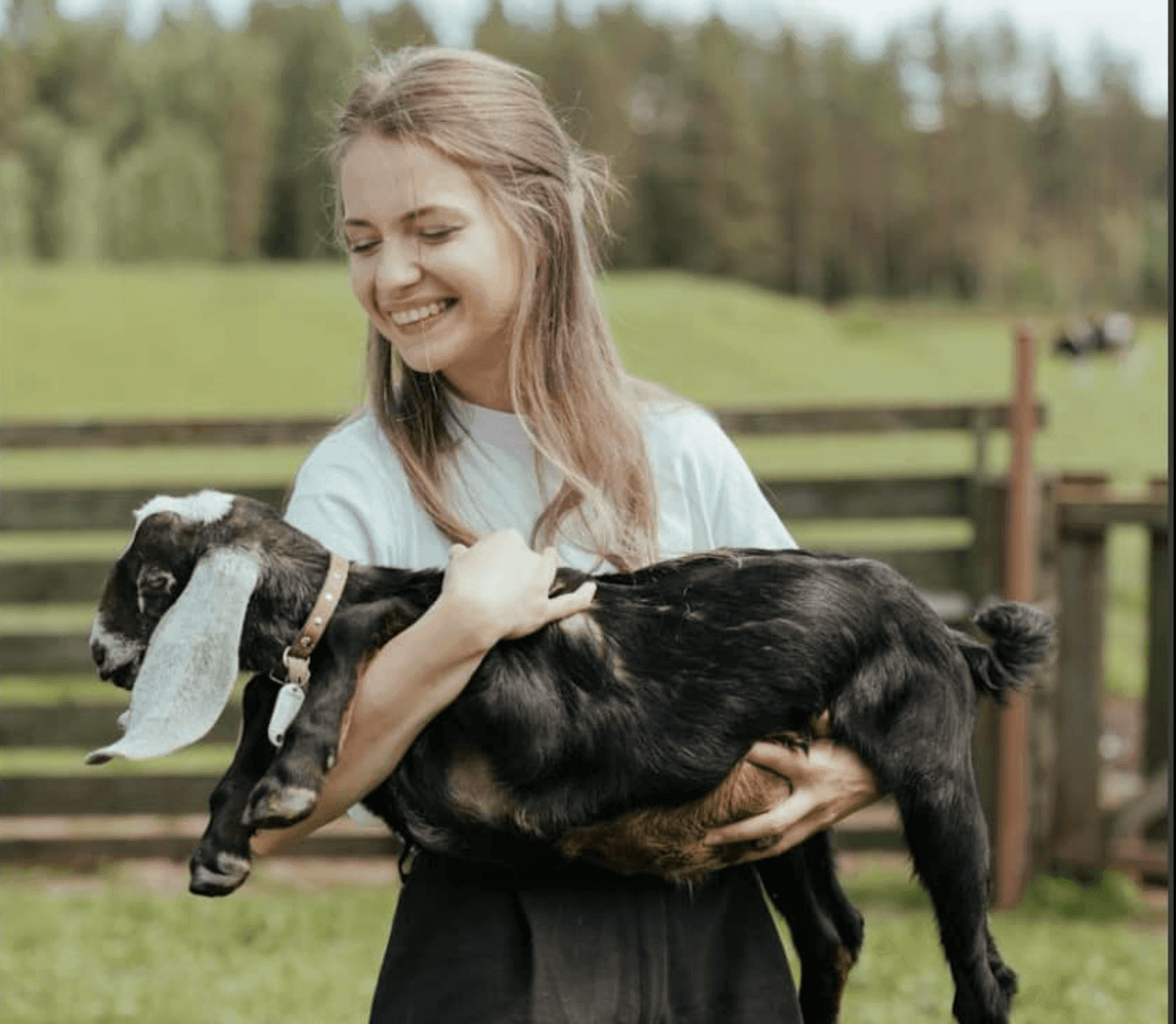 WALK WITH THE GOATS