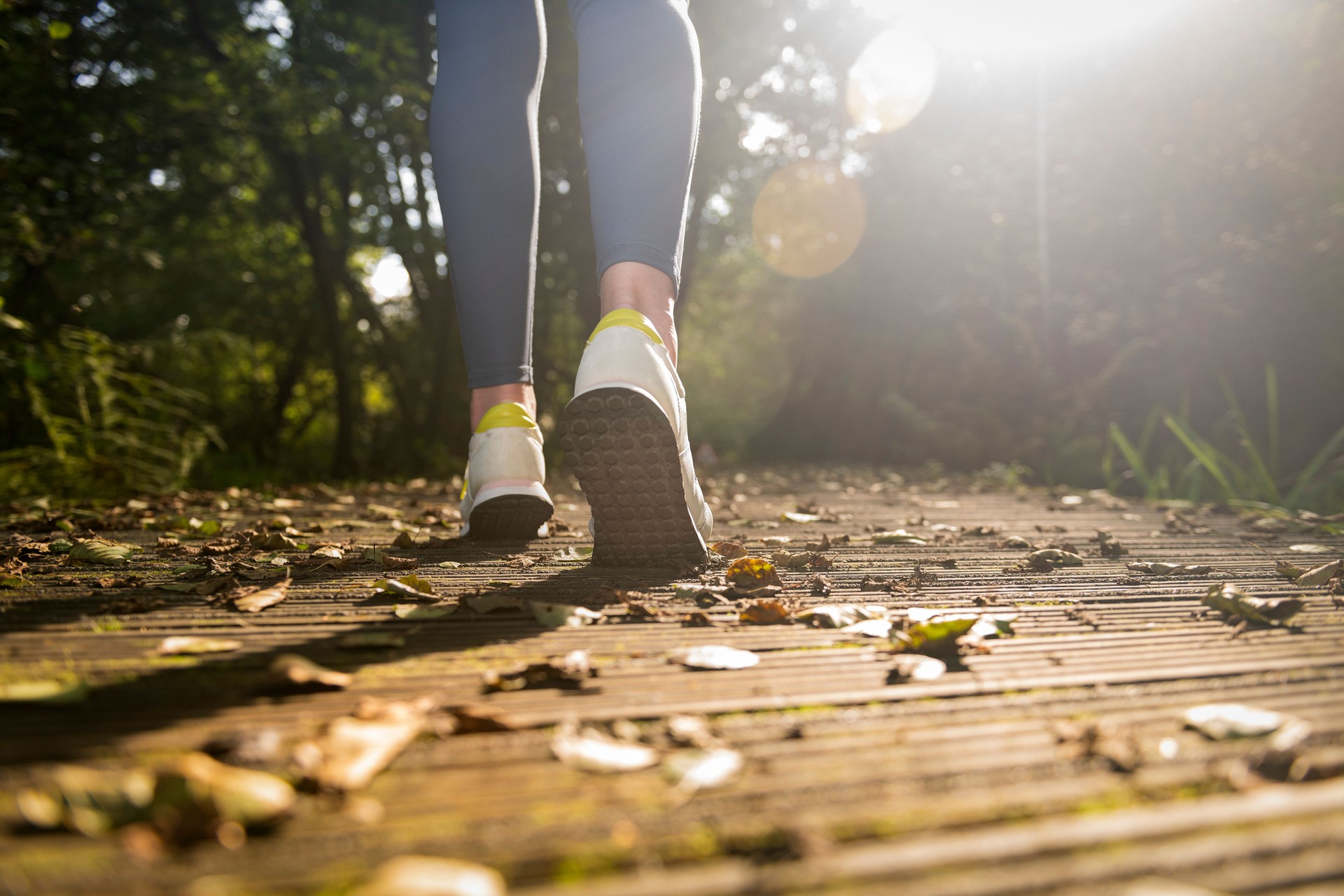 Close up of running shoes on a wooden boardwalk in the autumn, sun flare.