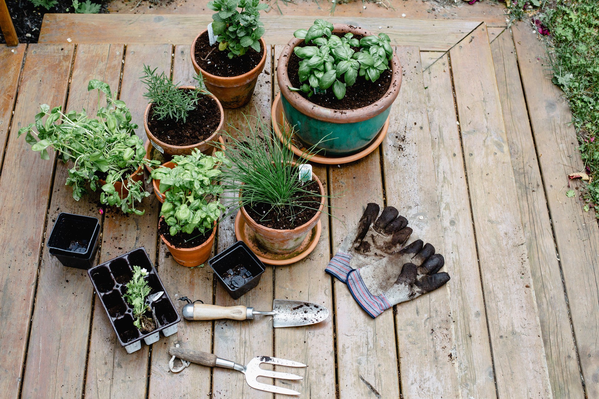 Planting flowers